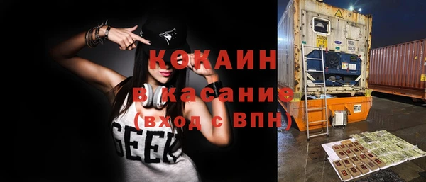 индика Лагань