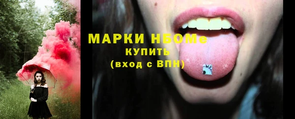 молекула духа Ладушкин