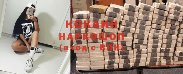 молекула духа Ладушкин