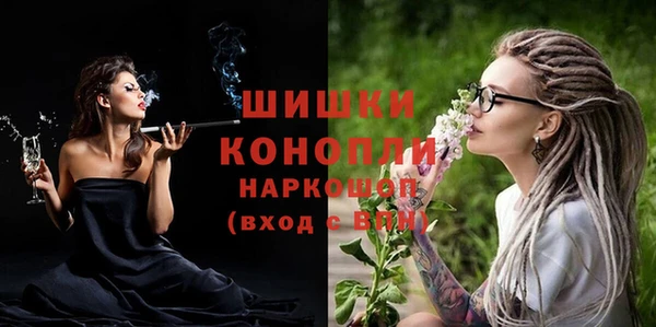 молекула духа Ладушкин