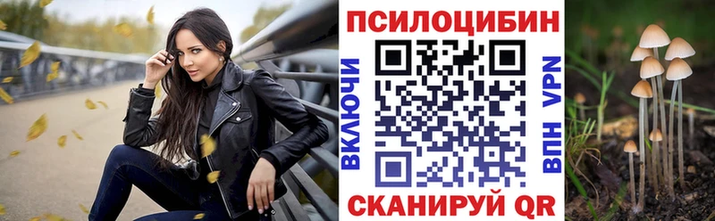Псилоцибиновые грибы мухоморы  блэк спрут вход  Агидель 
